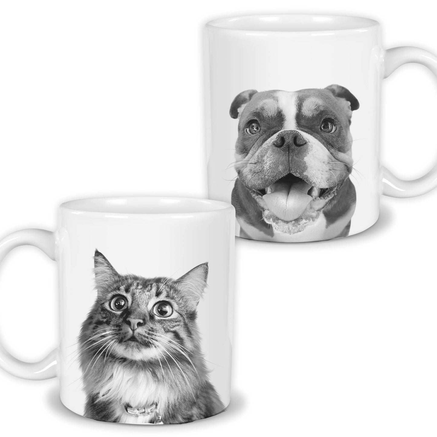 Add Extra Ready-Made Pet