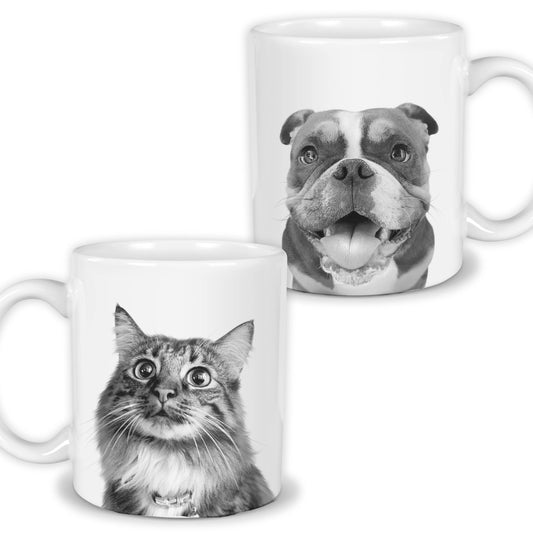 Add Extra Ready-Made Pet