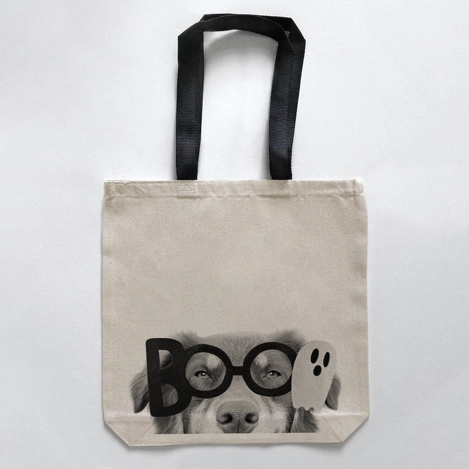 Australian Shepherd 2