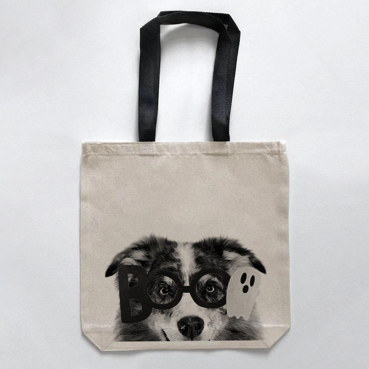 Australian Shepherd 1