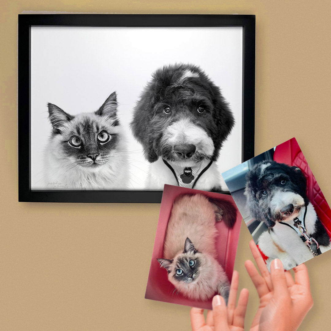 Pet Portraits Framed, top Black Aluminum Frame, Printed from Photo onto Canvas. Stretched Canvas. Ready to Hang