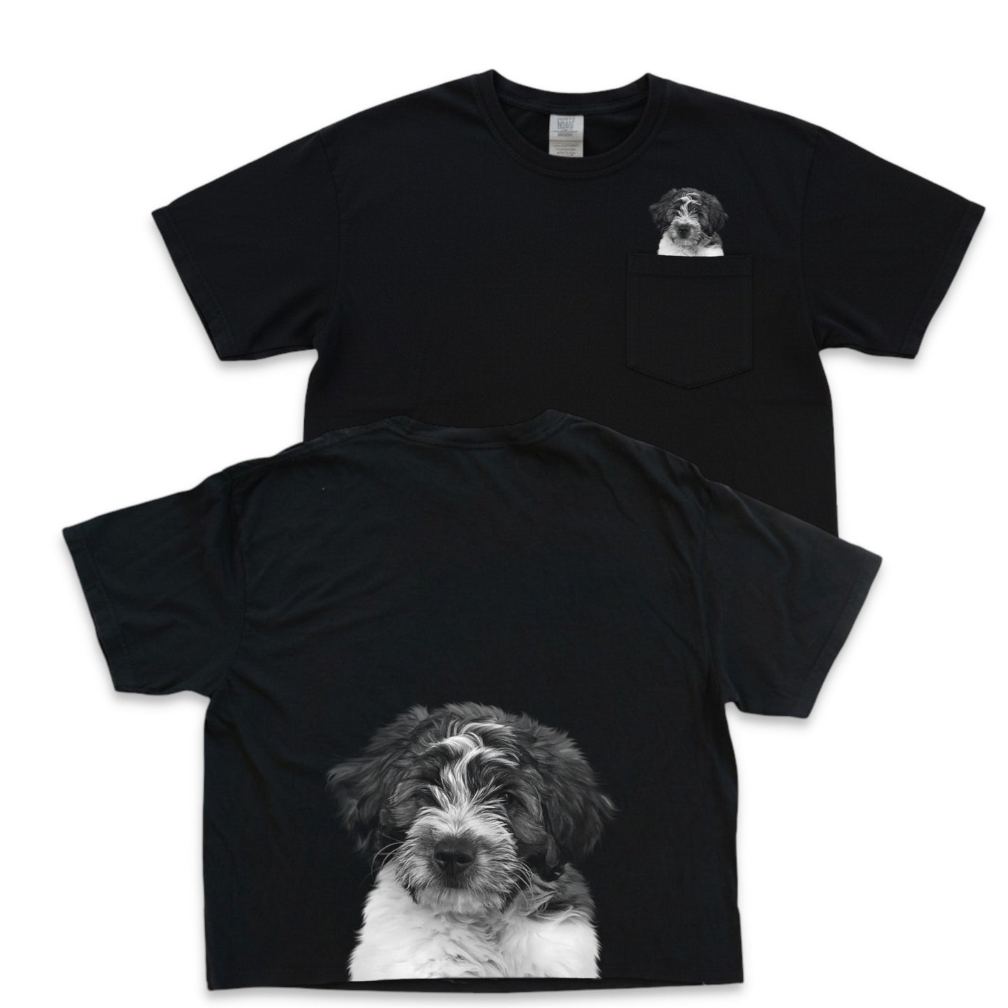 Pet-In-Pocket Cropped Tee - Pocket & Back Graphic