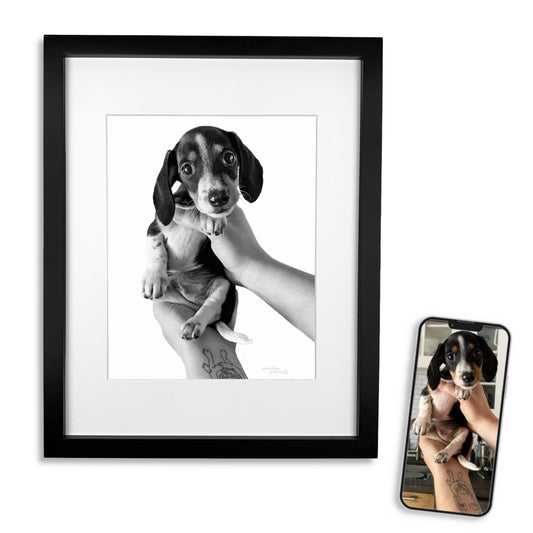 Pet Portrait in Black Frame