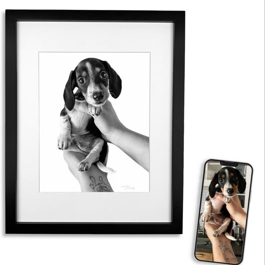 Pet Portrait in Black Frame