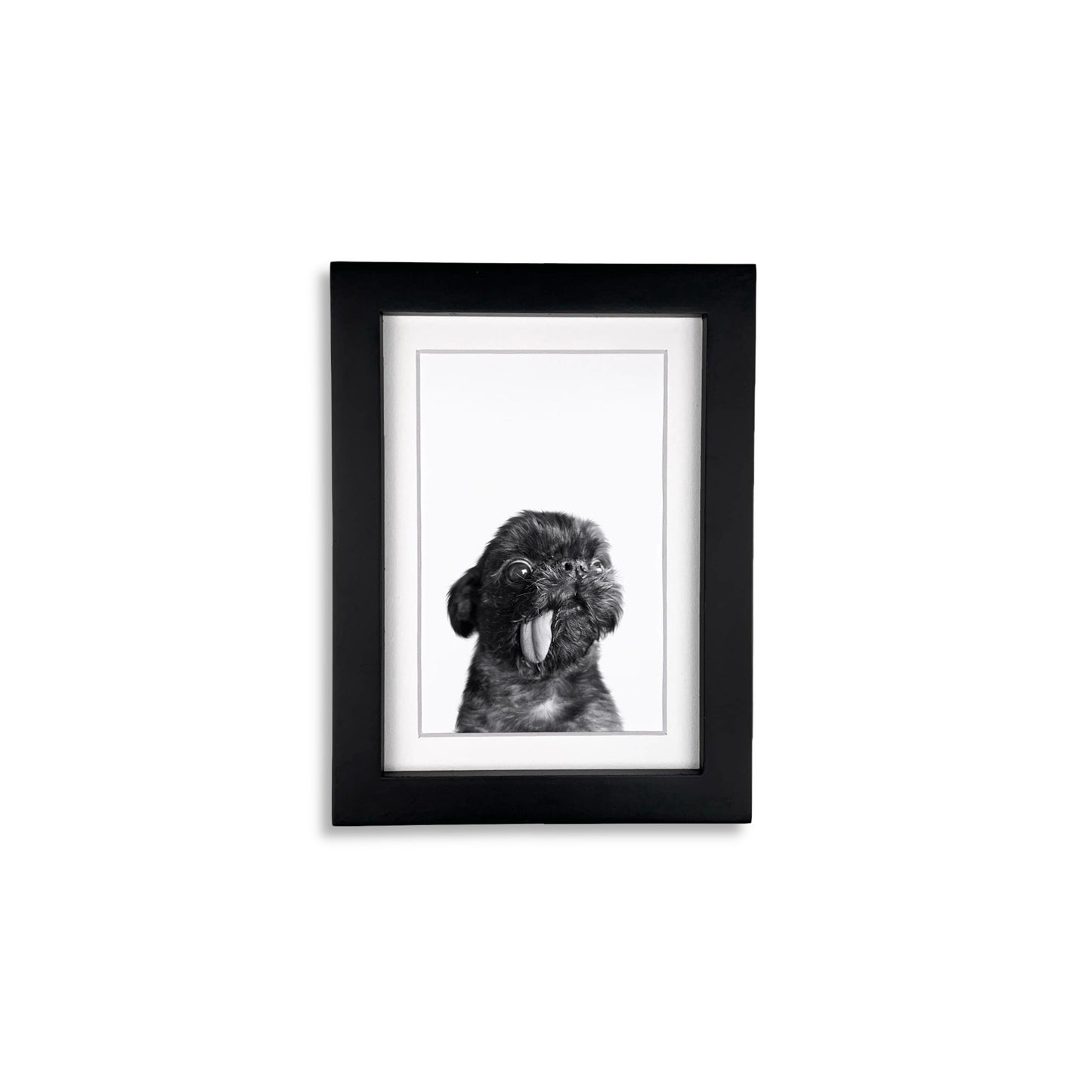 Pet Portrait in Black Frame
