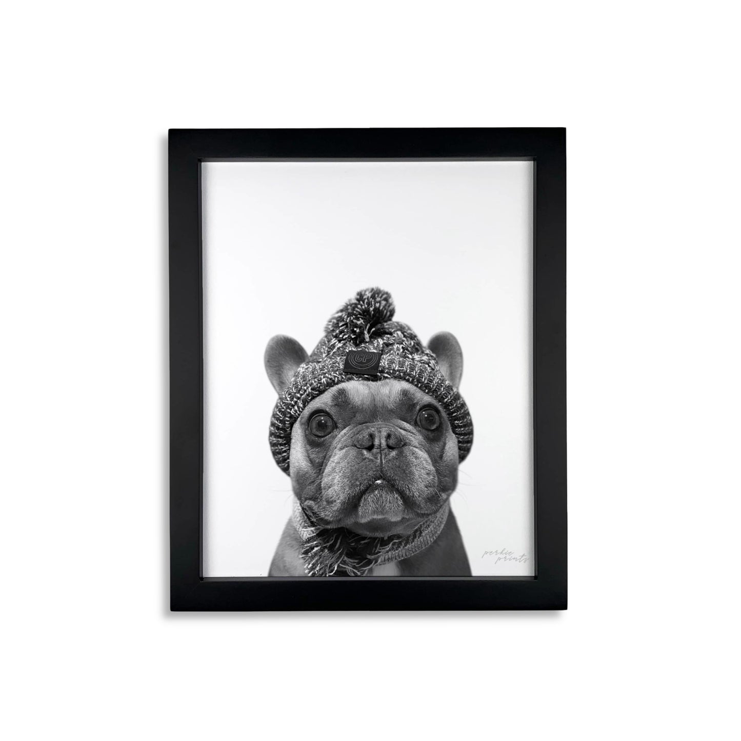 Pet Portrait in Black Frame