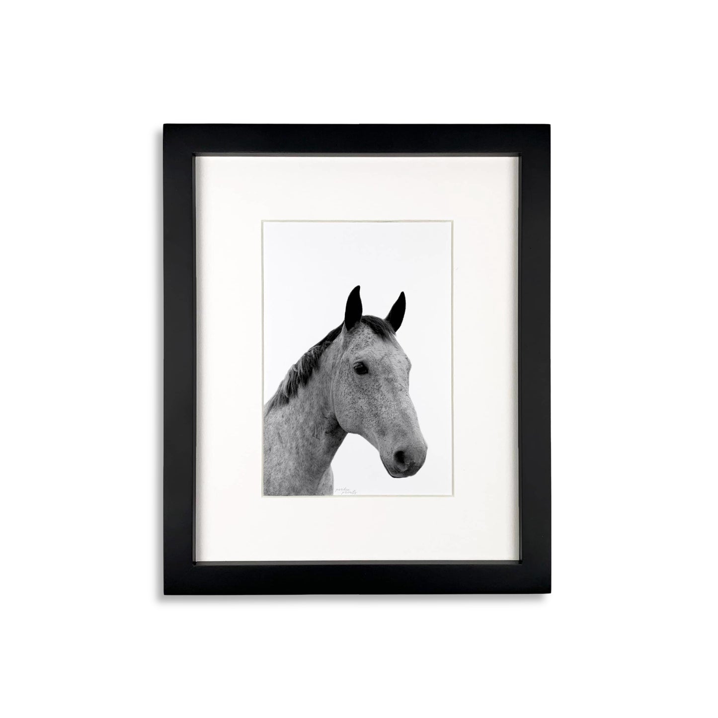 Pet Portrait in Black Frame