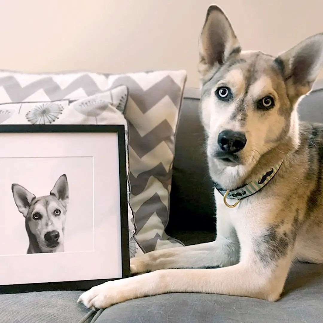 Pet Portrait in Black Frame