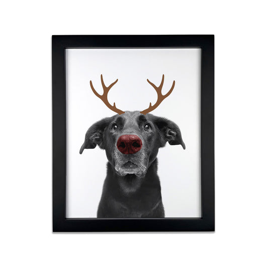 Holiday Pet Portrait in Black Frame