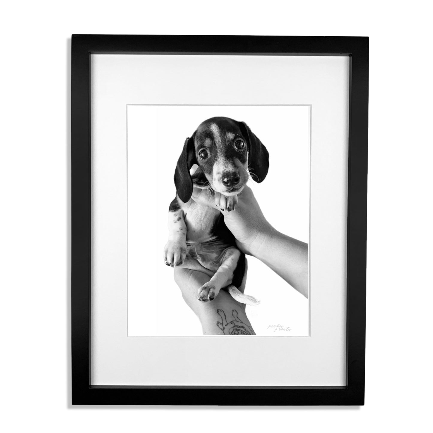 Pet Portrait in Black Frame