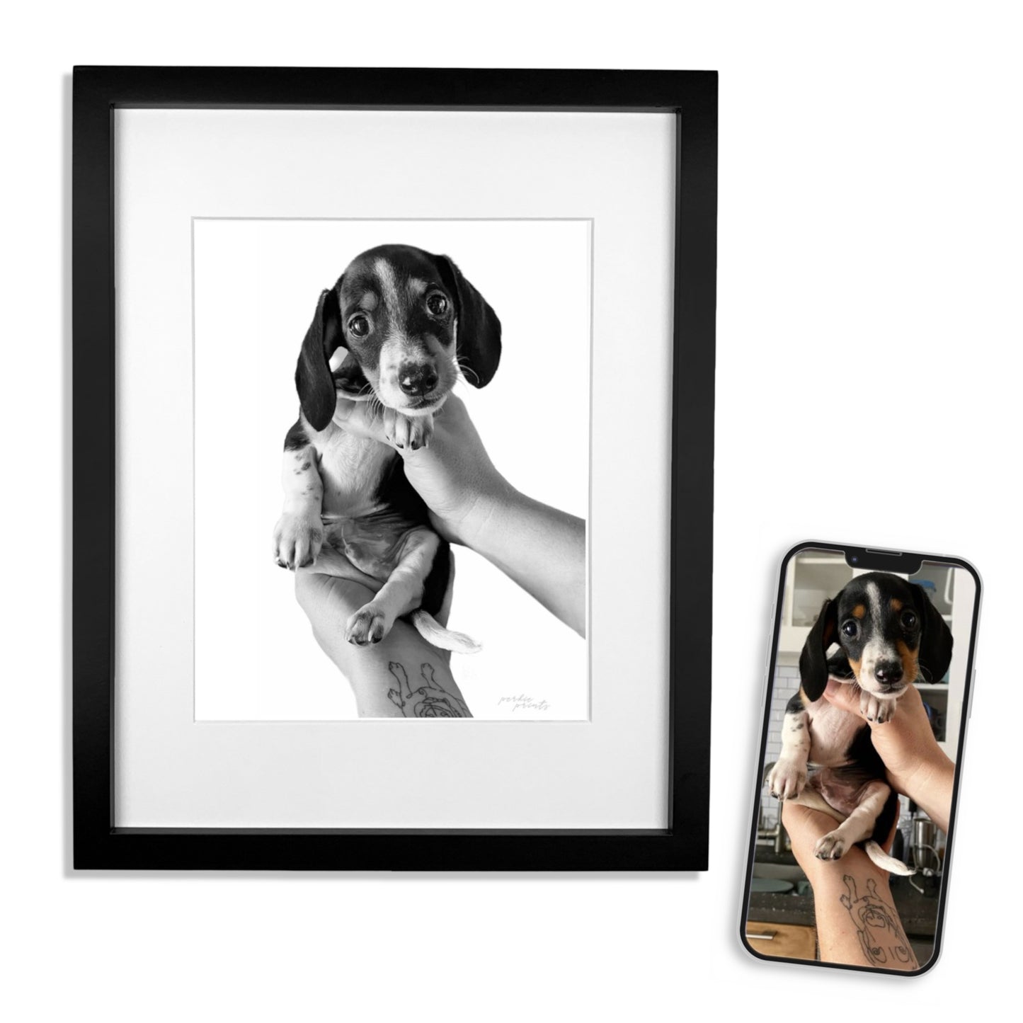 Pet Portrait in Black Frame