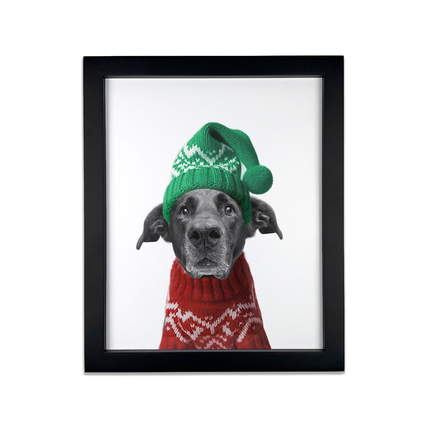 Holiday Pet Portrait in Black Frame