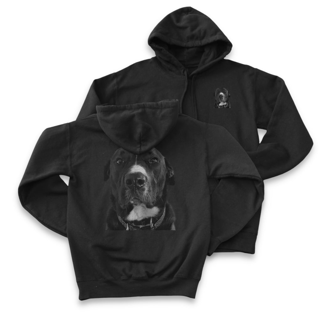 Hoodie - Chest & Back Graphic