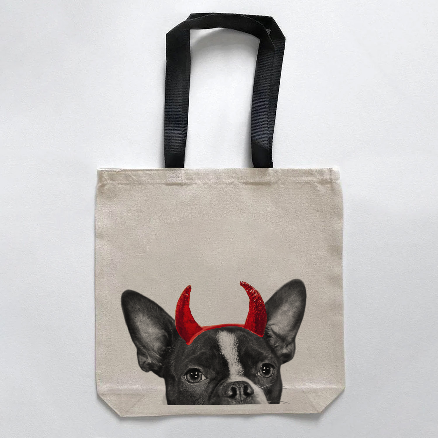 Boston Terrier