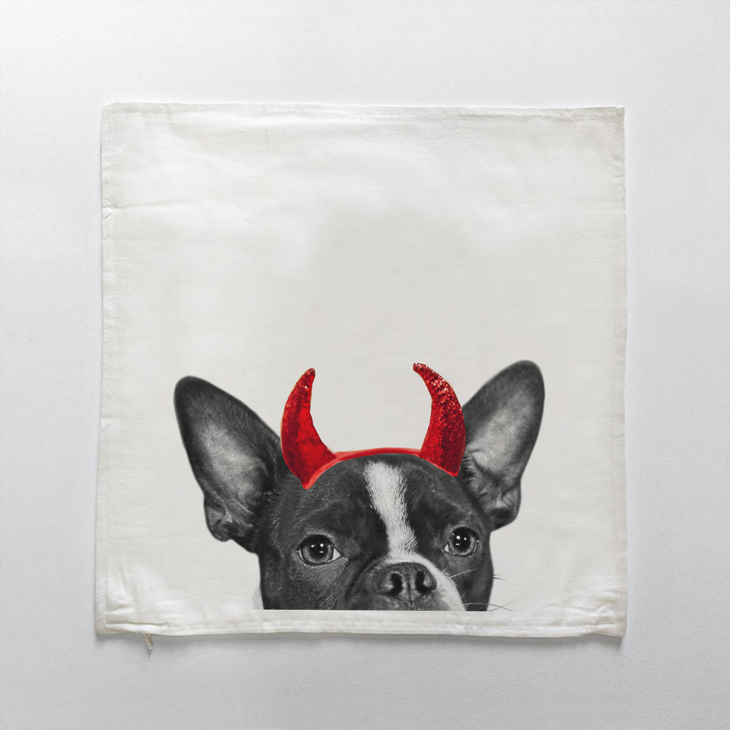 Boston Terrier