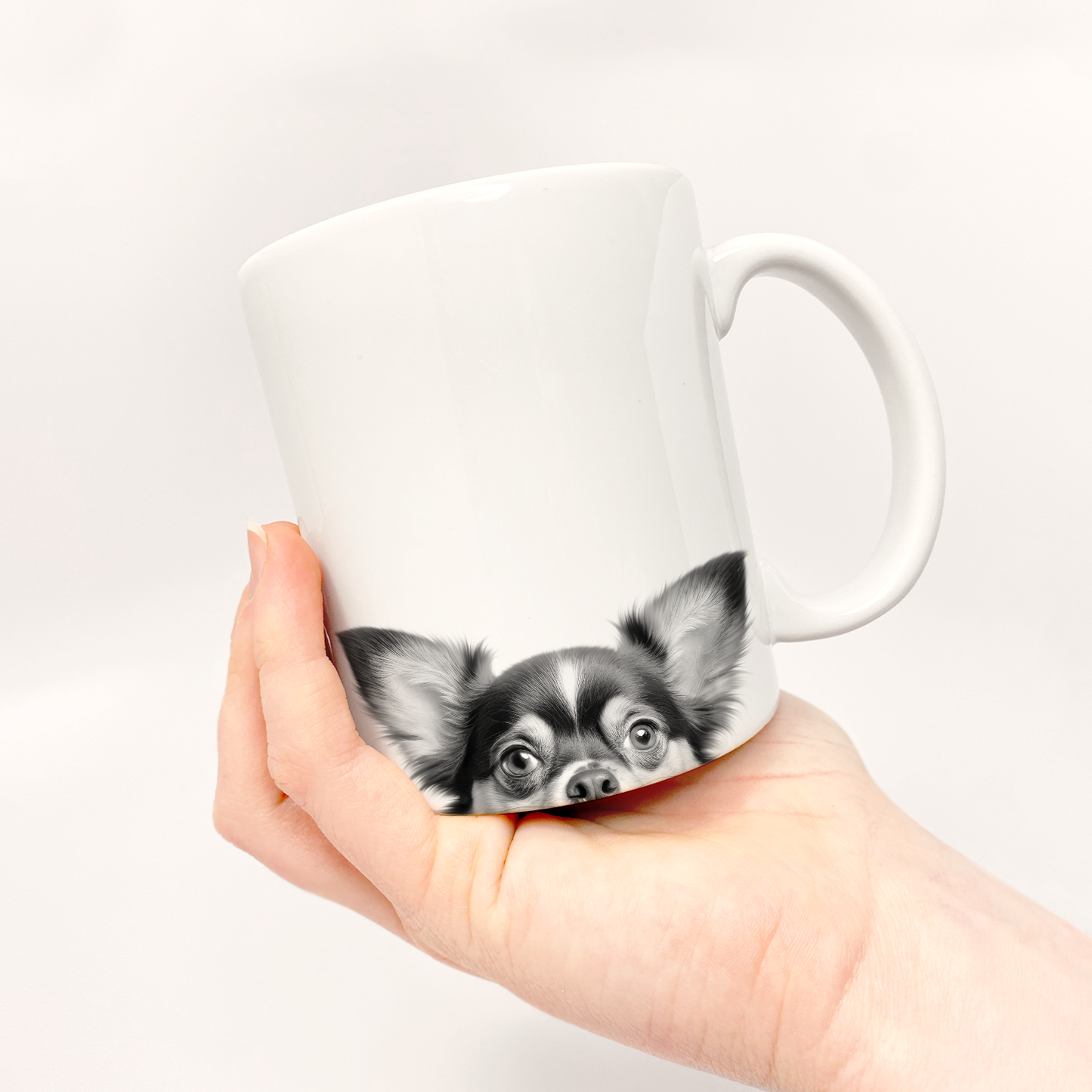 Chihuahua 2