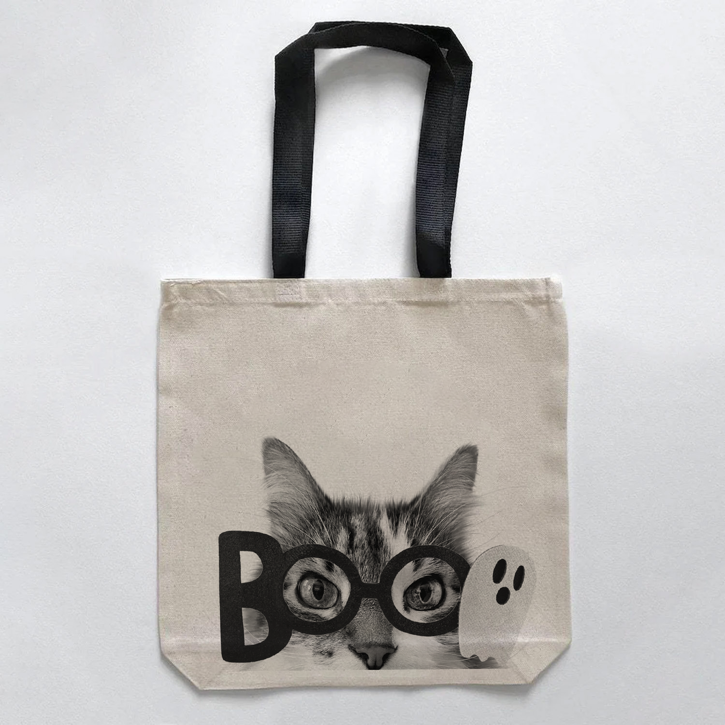 White & Tabby Cat 4