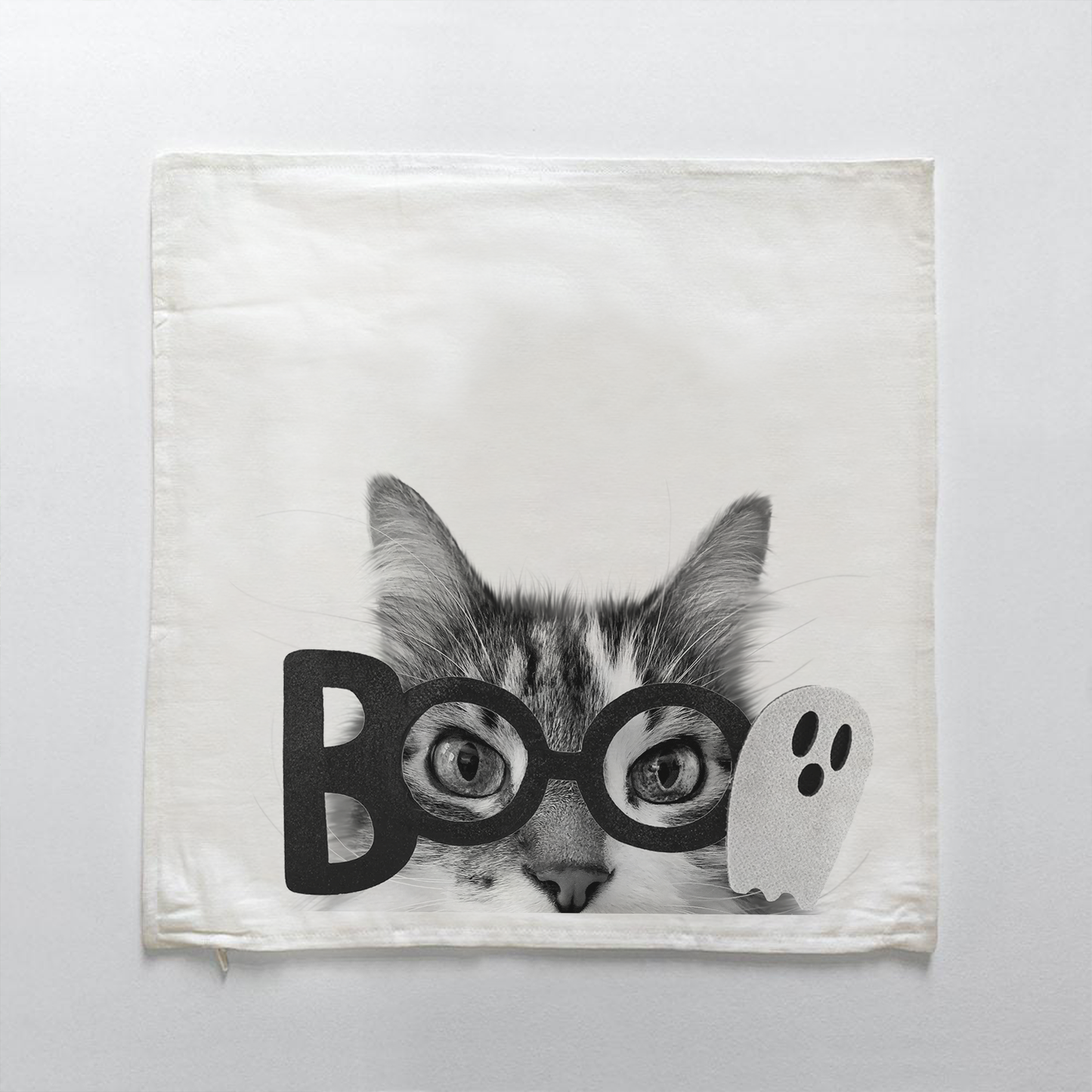 White & Tabby Cat 4