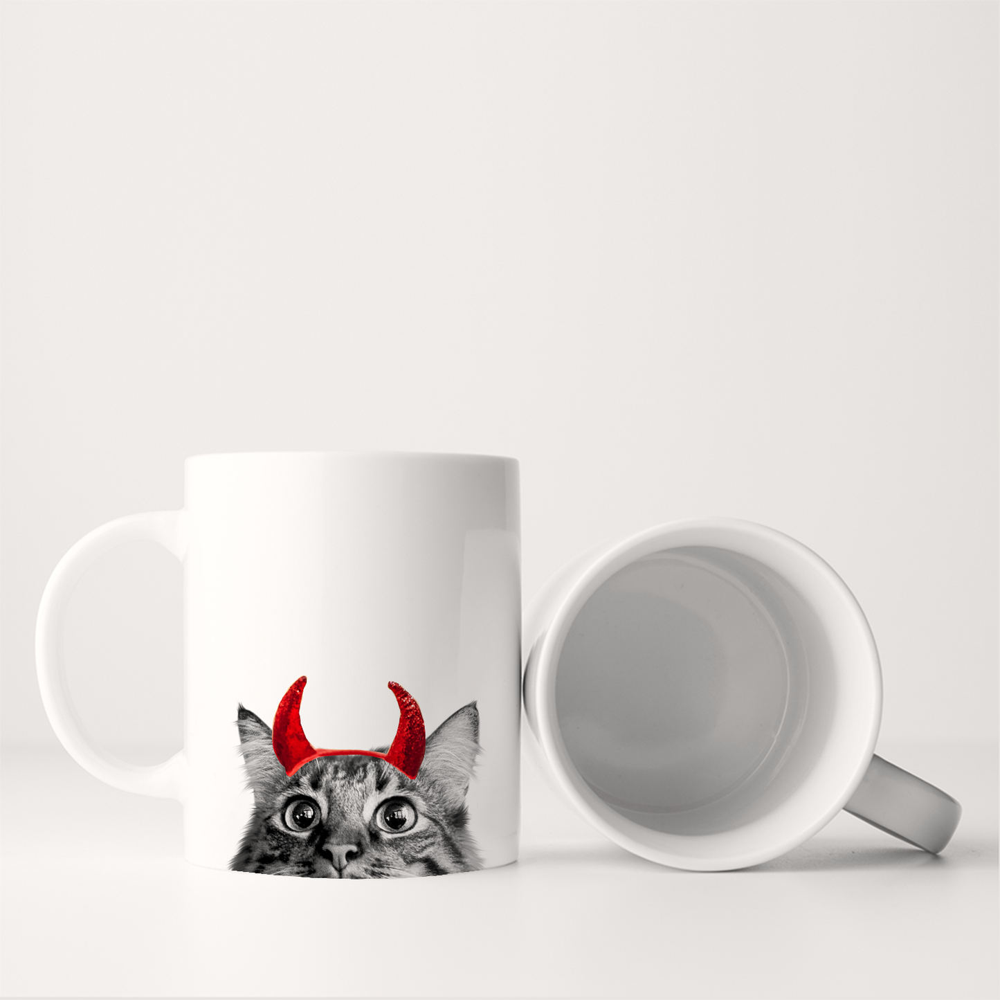 Tabby Cat 5