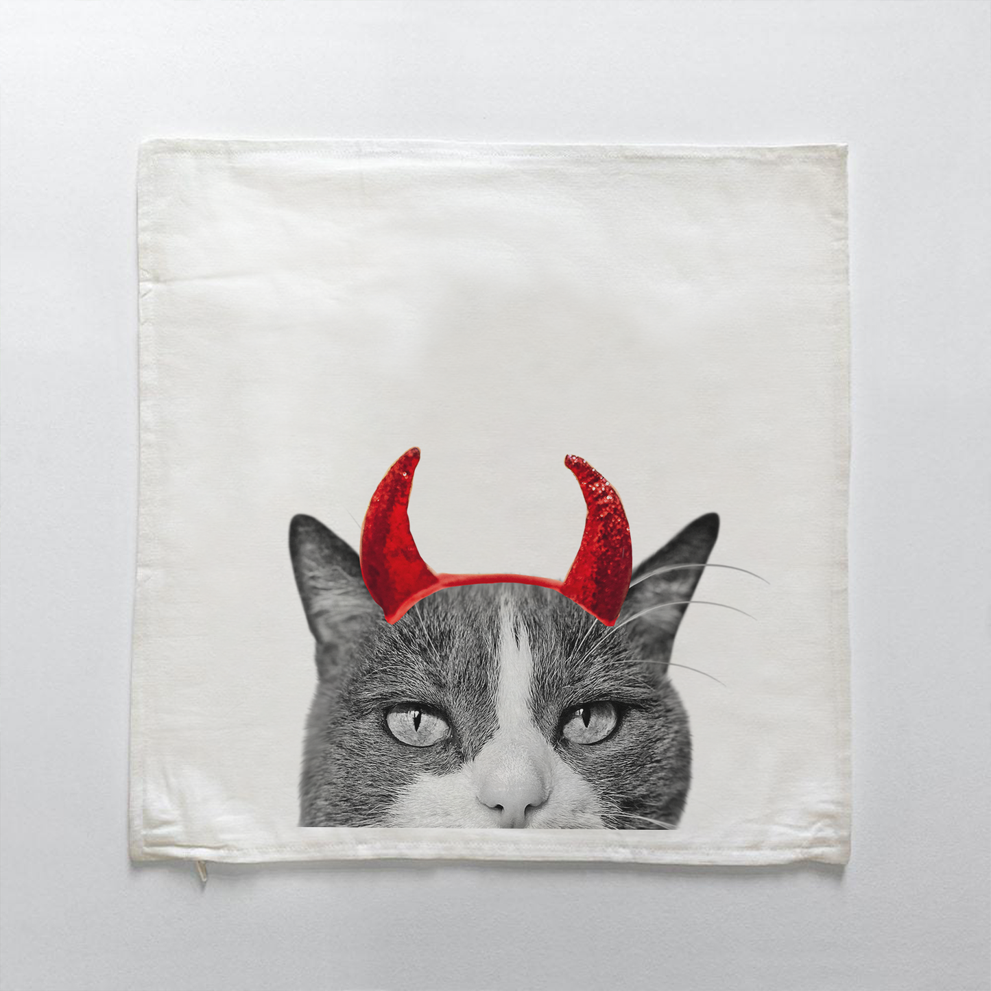 Gray & White Cat 6