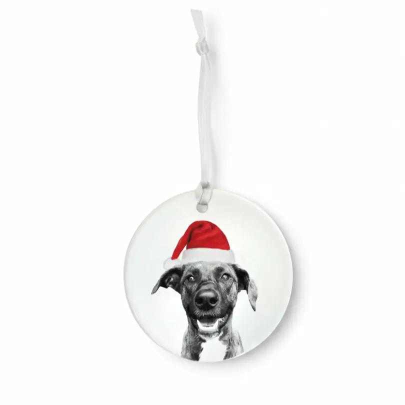 Ceramic Holiday Ornament