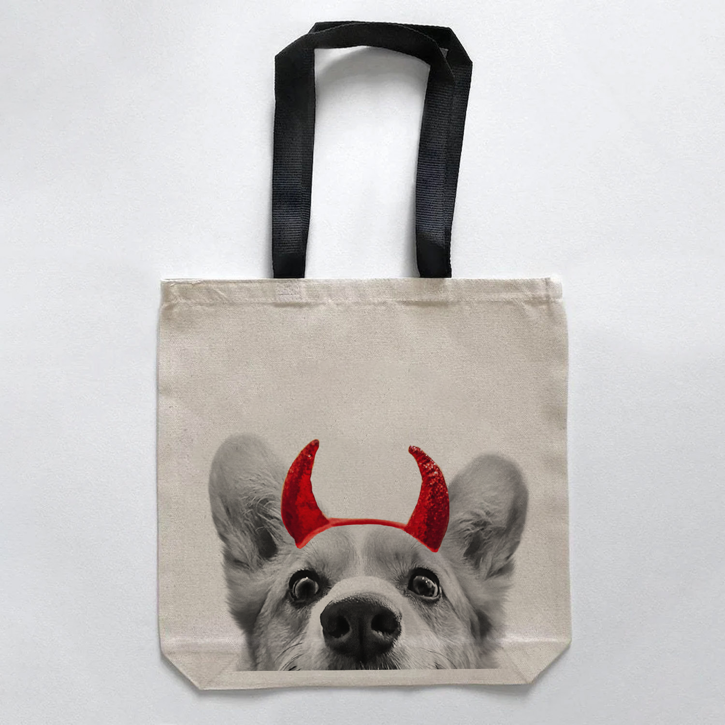 Corgi 1