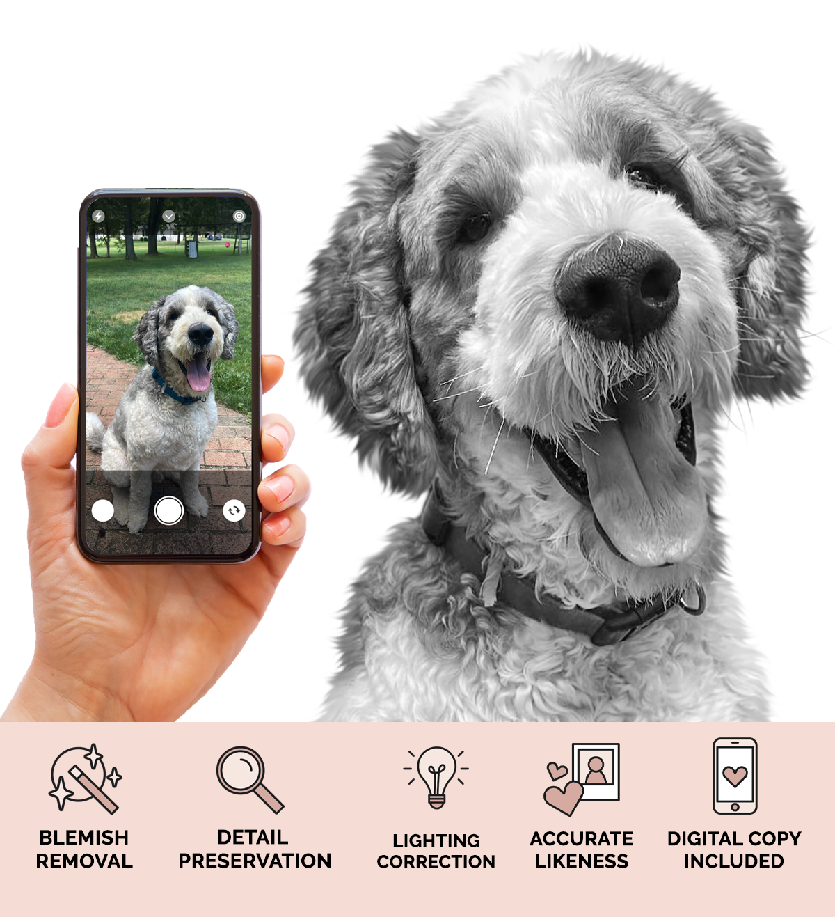 Before and after of a custom dog portrait created using an everyday photo from your phone