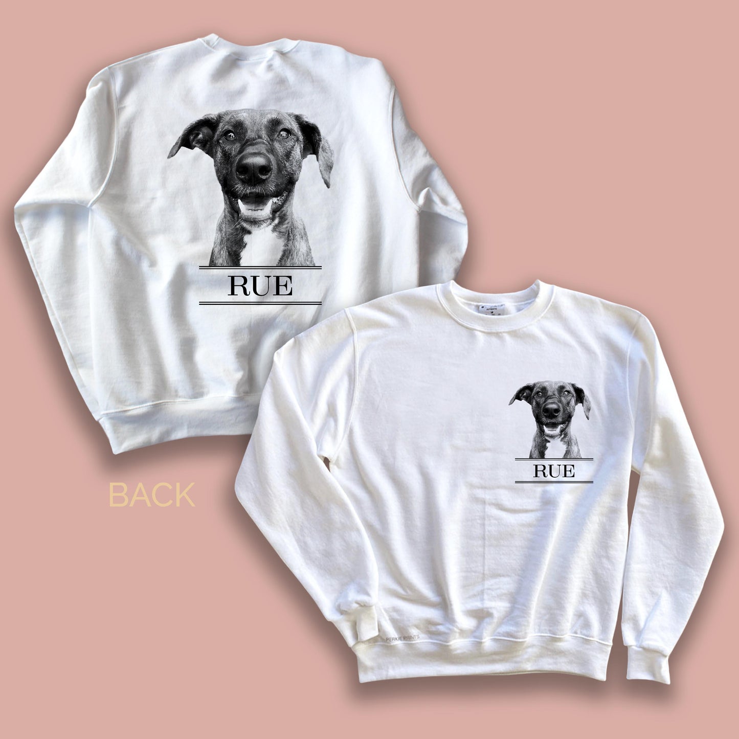 Classic Crew Sweatshirt