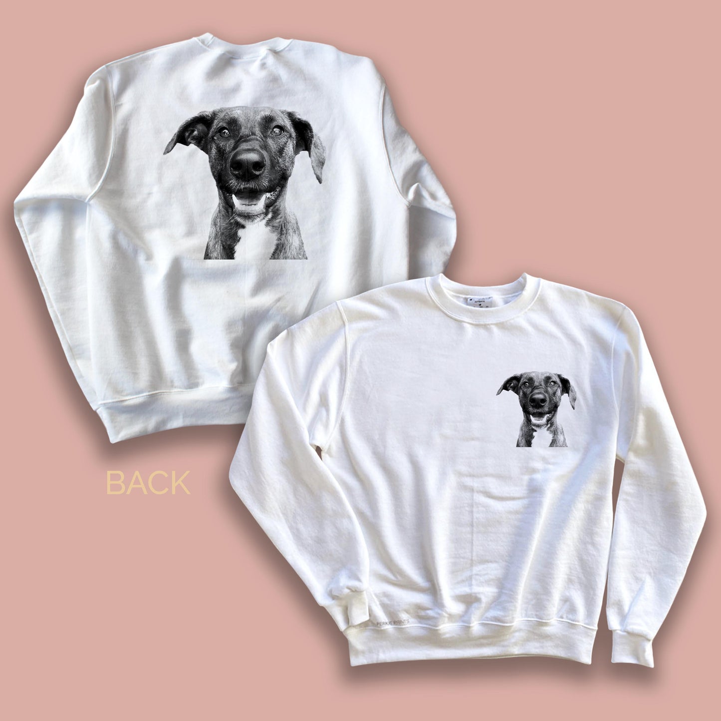 Classic Crew Sweatshirt