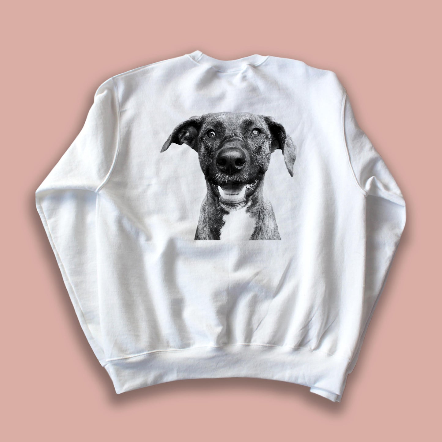 Classic Crew Sweatshirt