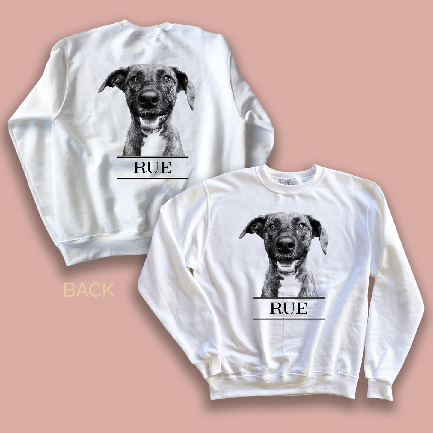 Classic Crew Sweatshirt