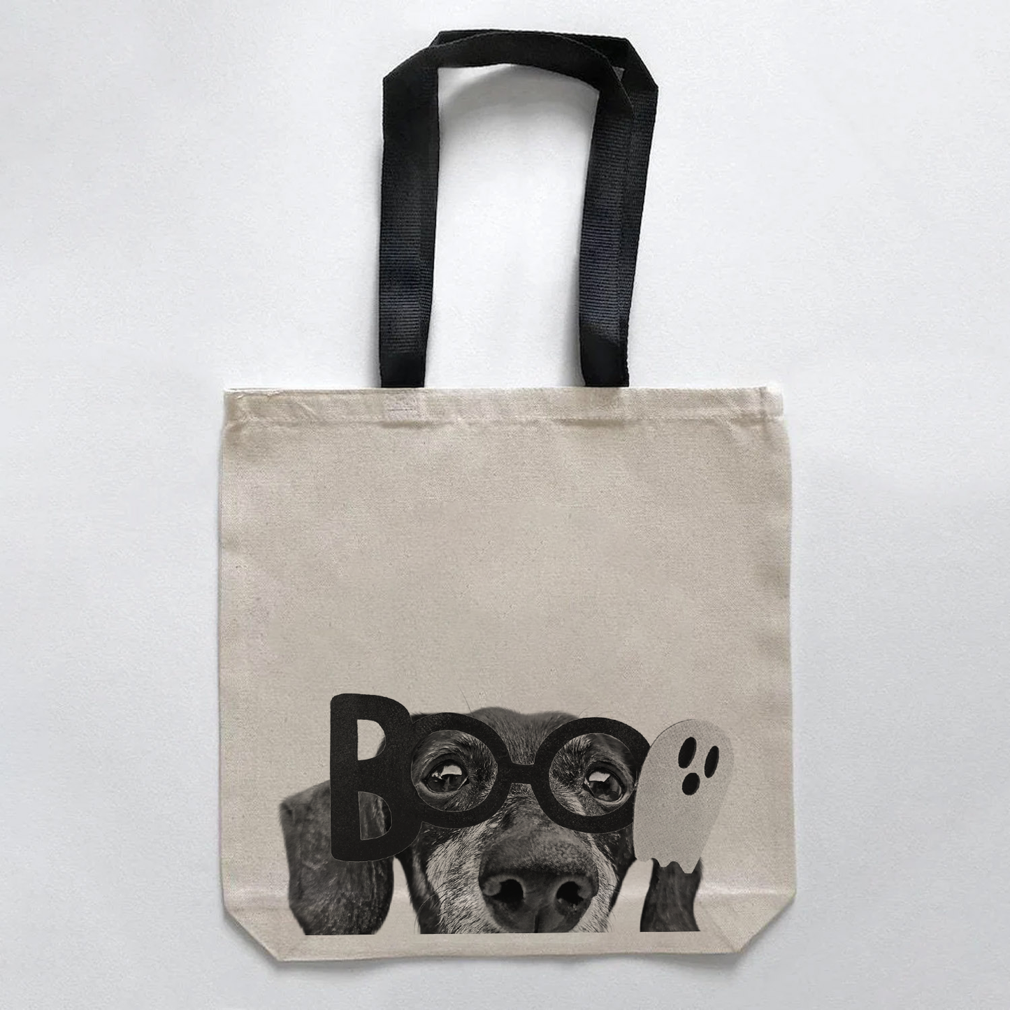 Dachshund 2