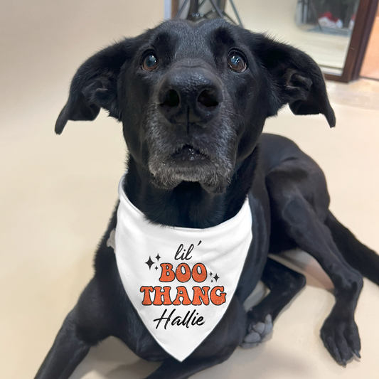 Halloween Bandana