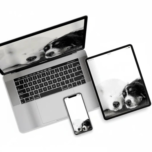 Digital Artwork Download