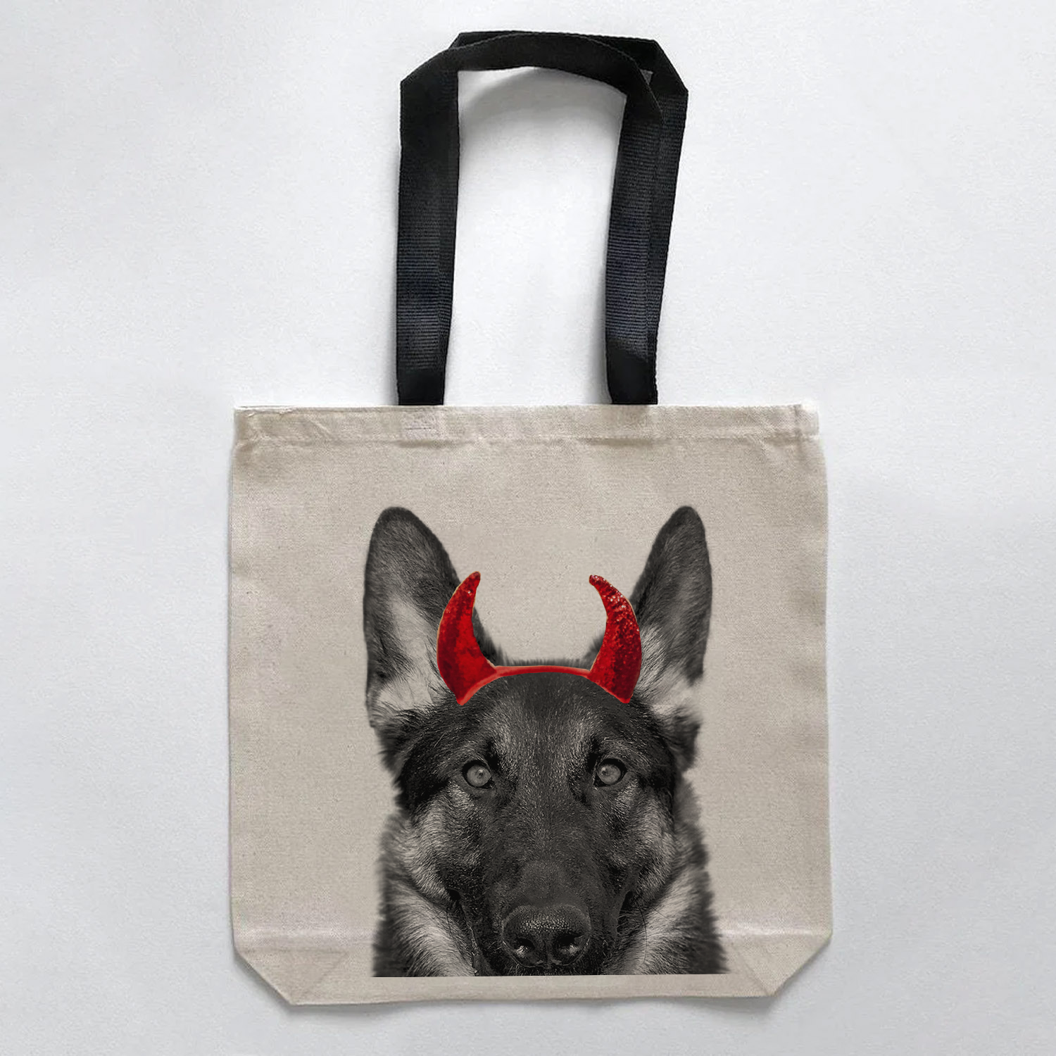 German Shepherd 1