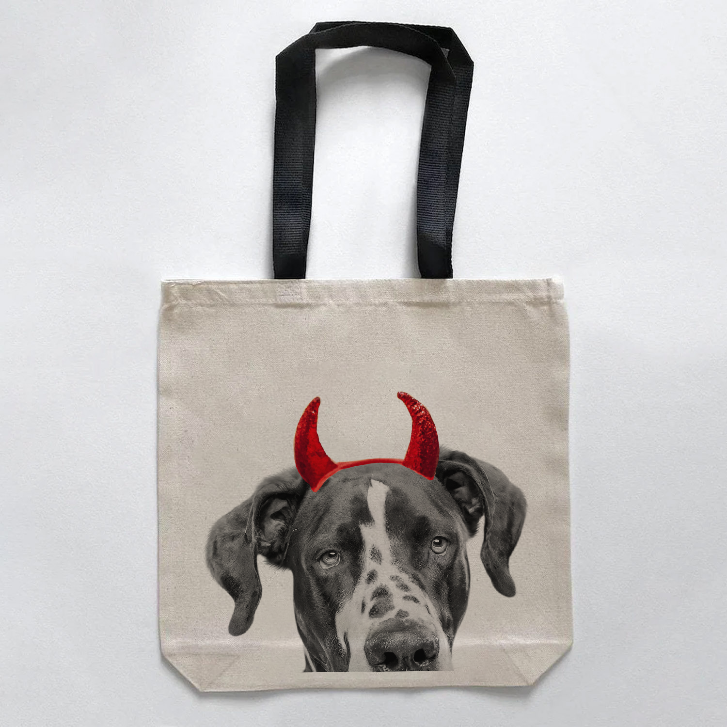 Great Dane 1