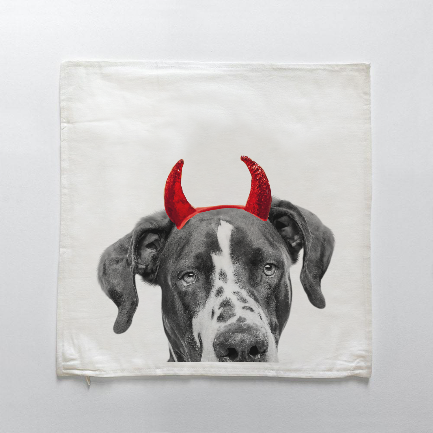 Great Dane 1