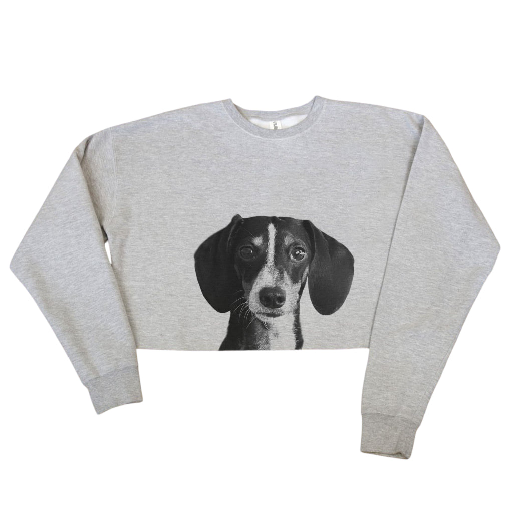 Cropped Crew Sweatshirt