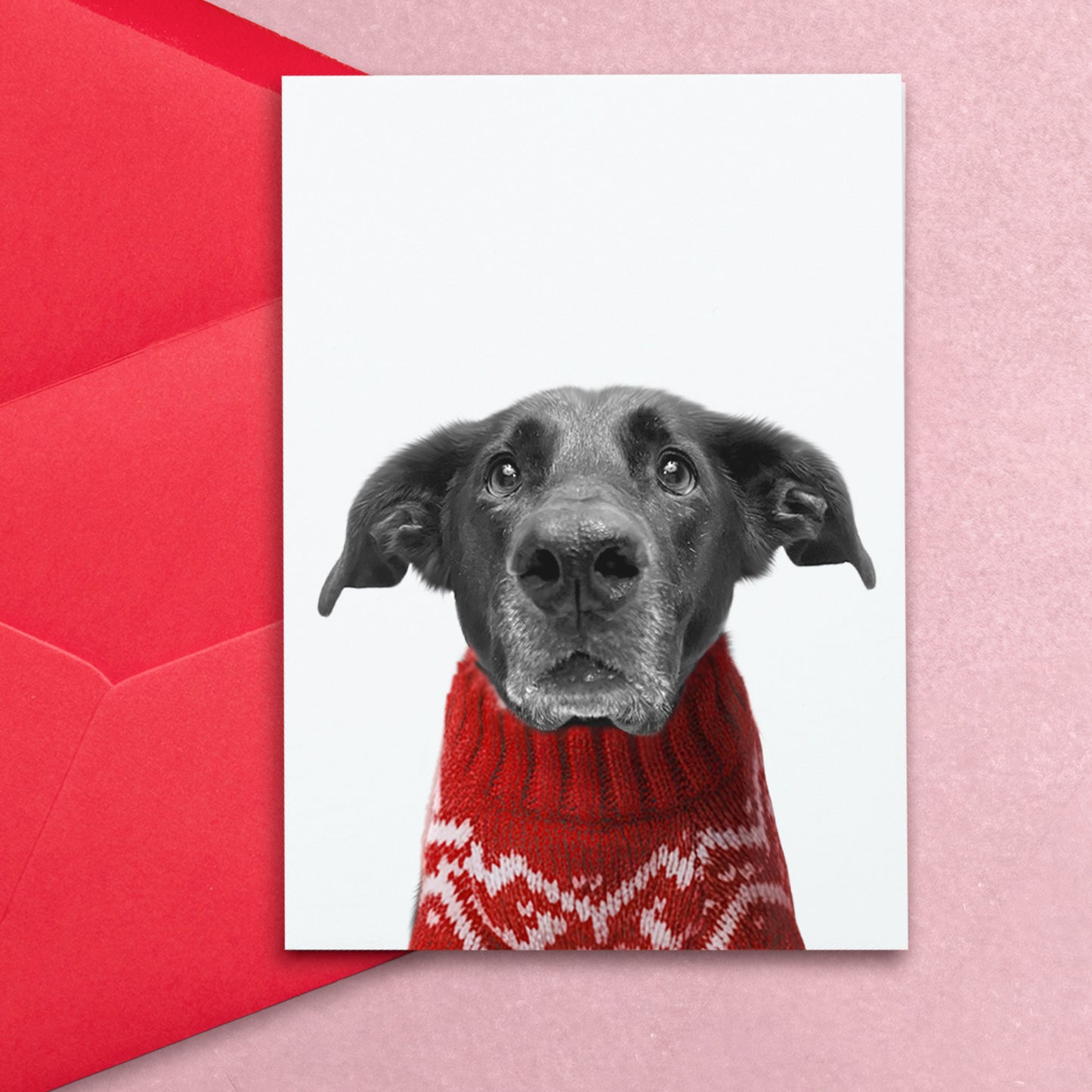 Pack of Holiday Postcards