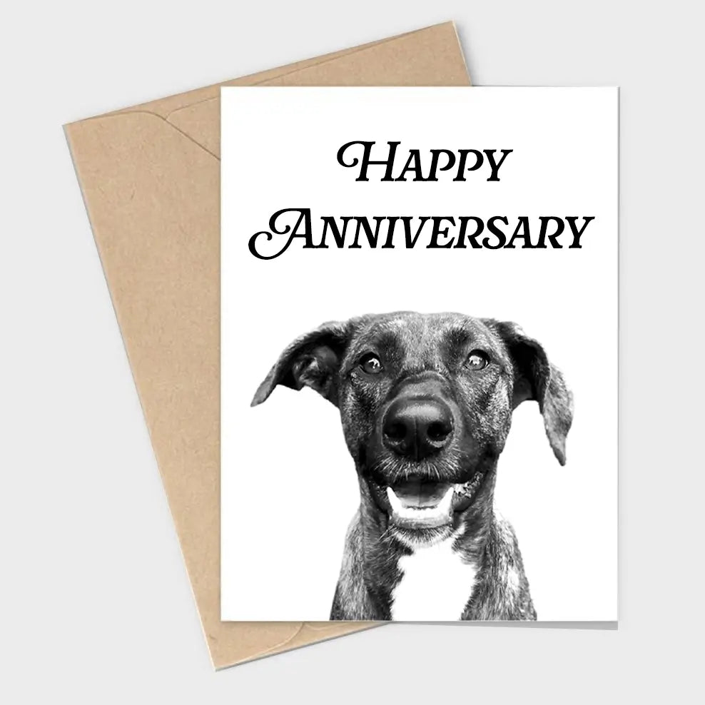 Pet Portrait Cards