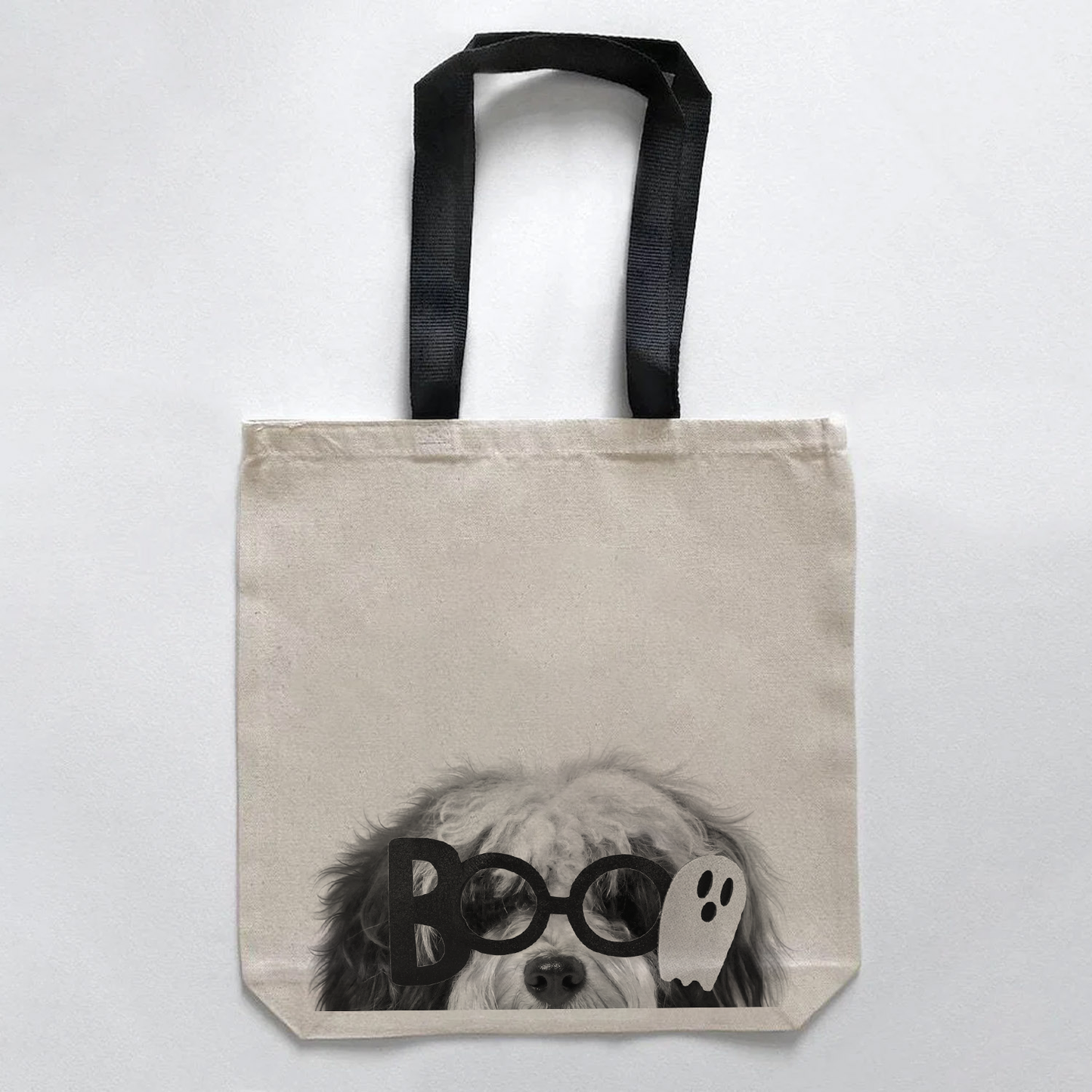 Havanese 1