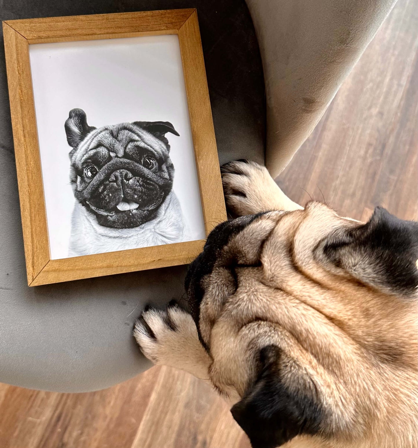 Pet Portrait in Natural Wood Frame