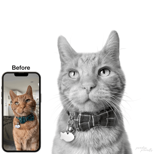 1 New Perkie Print Pet Artwork - Revision