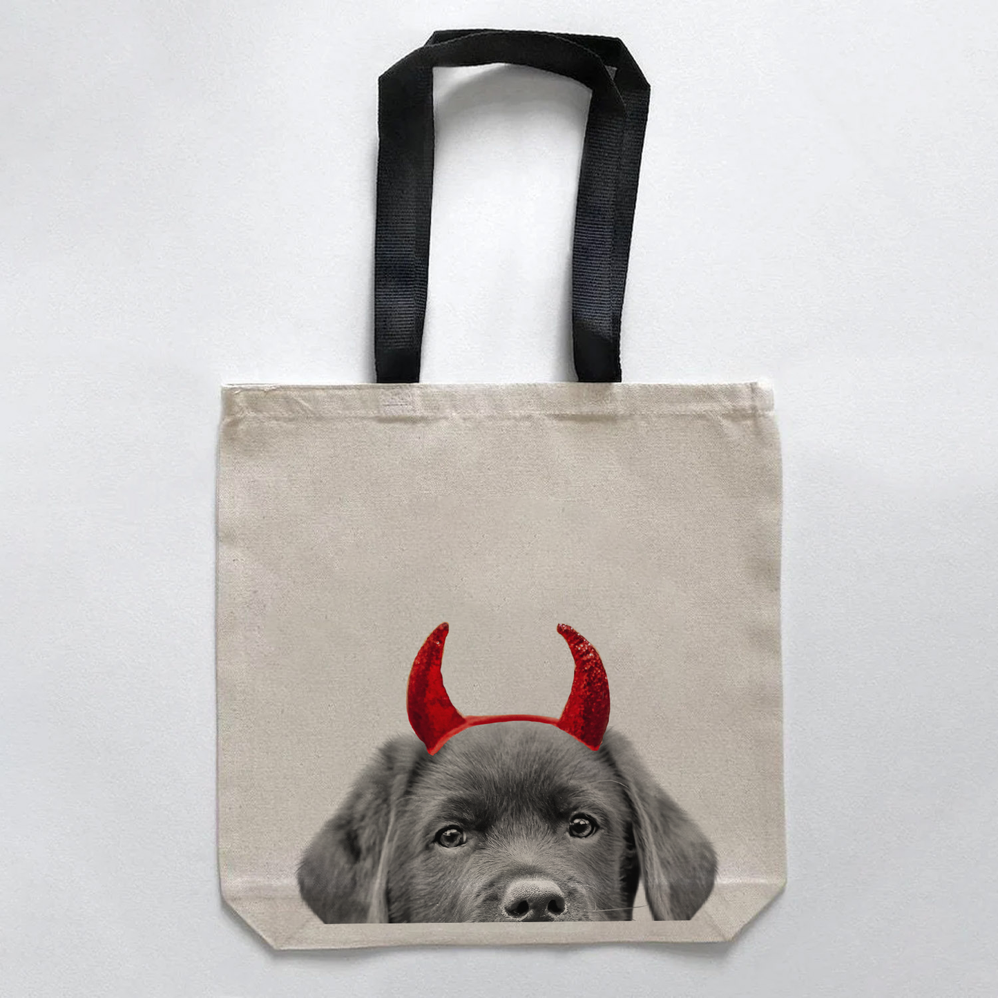 Lab Puppy 1 - Black