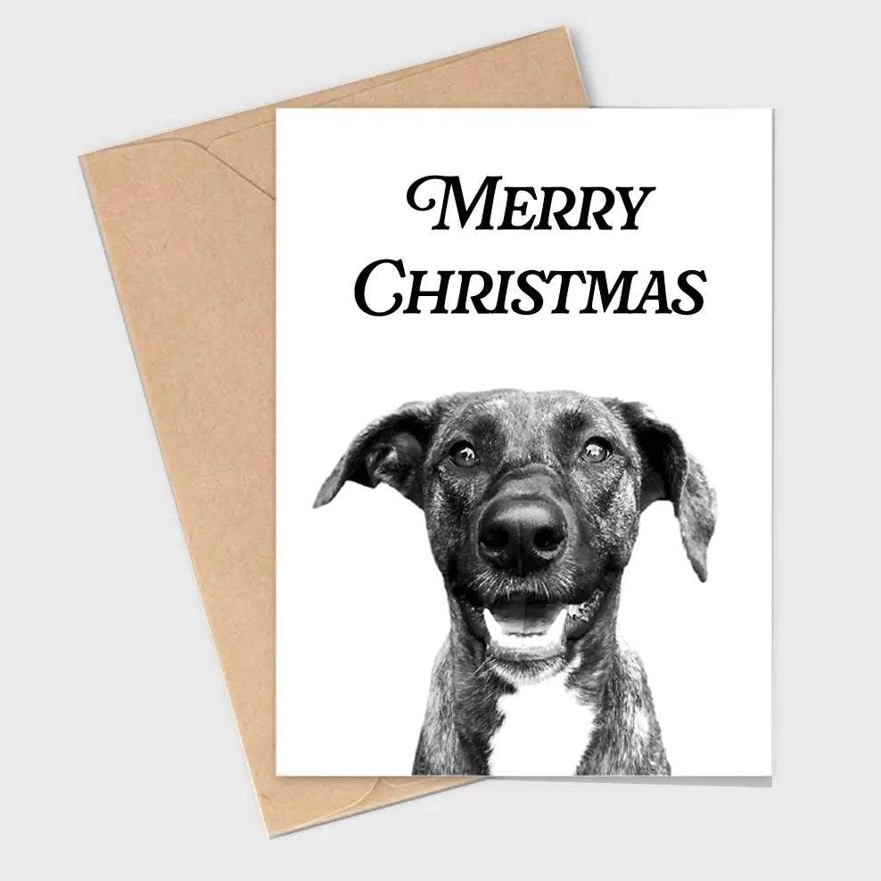 Pet Portrait Cards