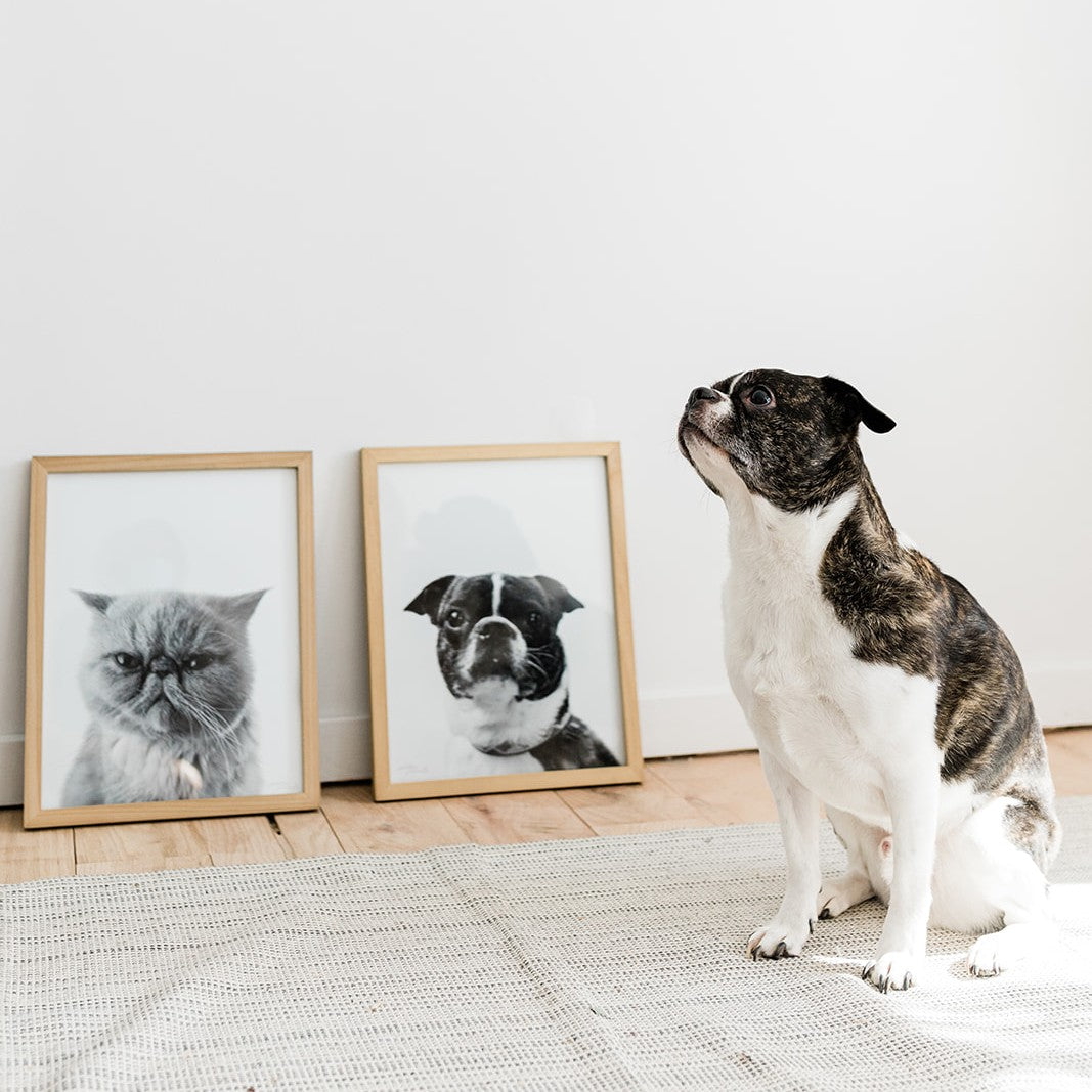 Pet Portrait in Natural Wood Frame