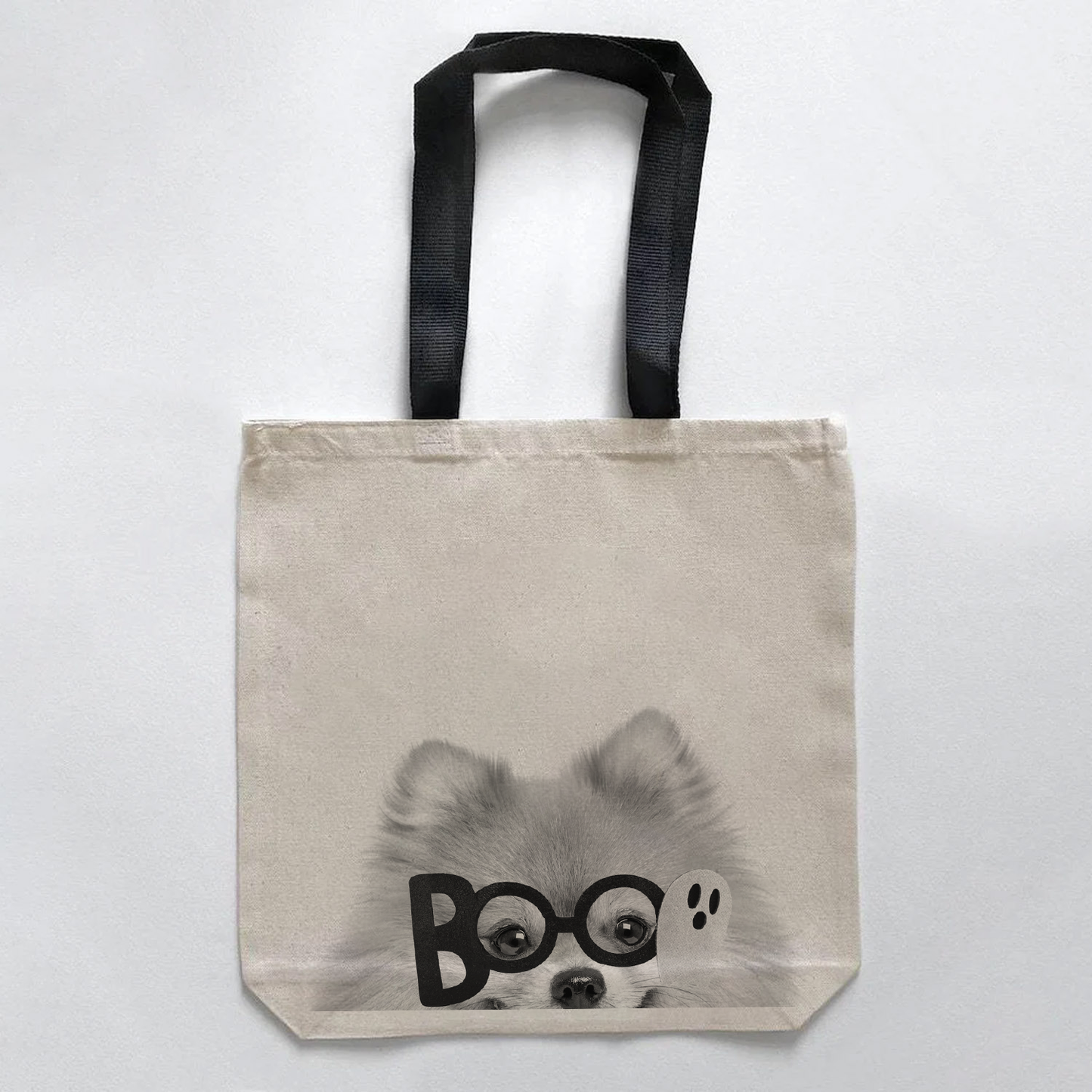 Pomeranian 1