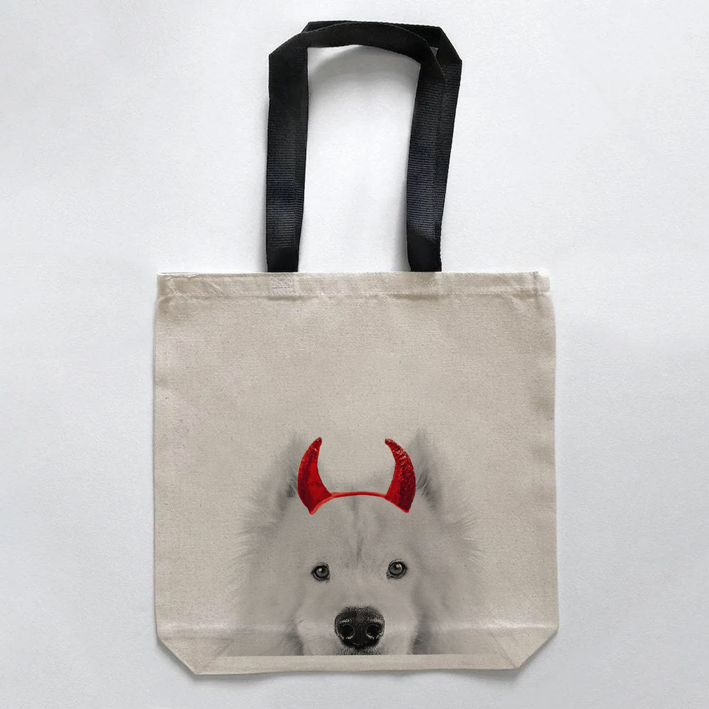 Samoyed