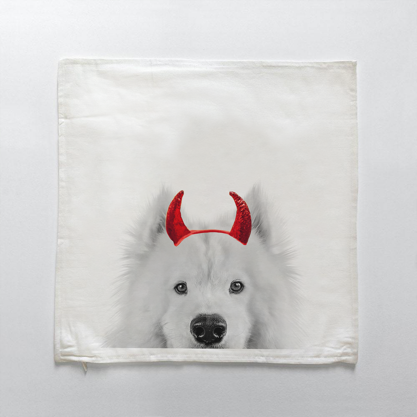 Samoyed