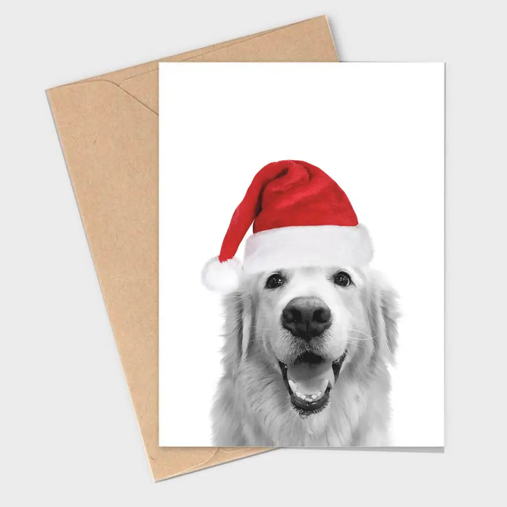 Pet Portrait Cards